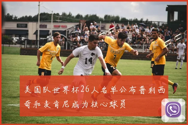 美国队世界杯26人名单公布普利西奇和麦肯尼成为核心球员